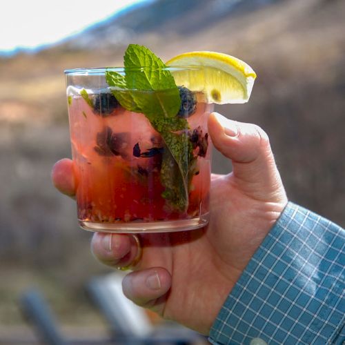 A hand holding a glass of a fruit-infused drink garnished with a lemon slice and mint leaves outdoors, against a blurred nature background.